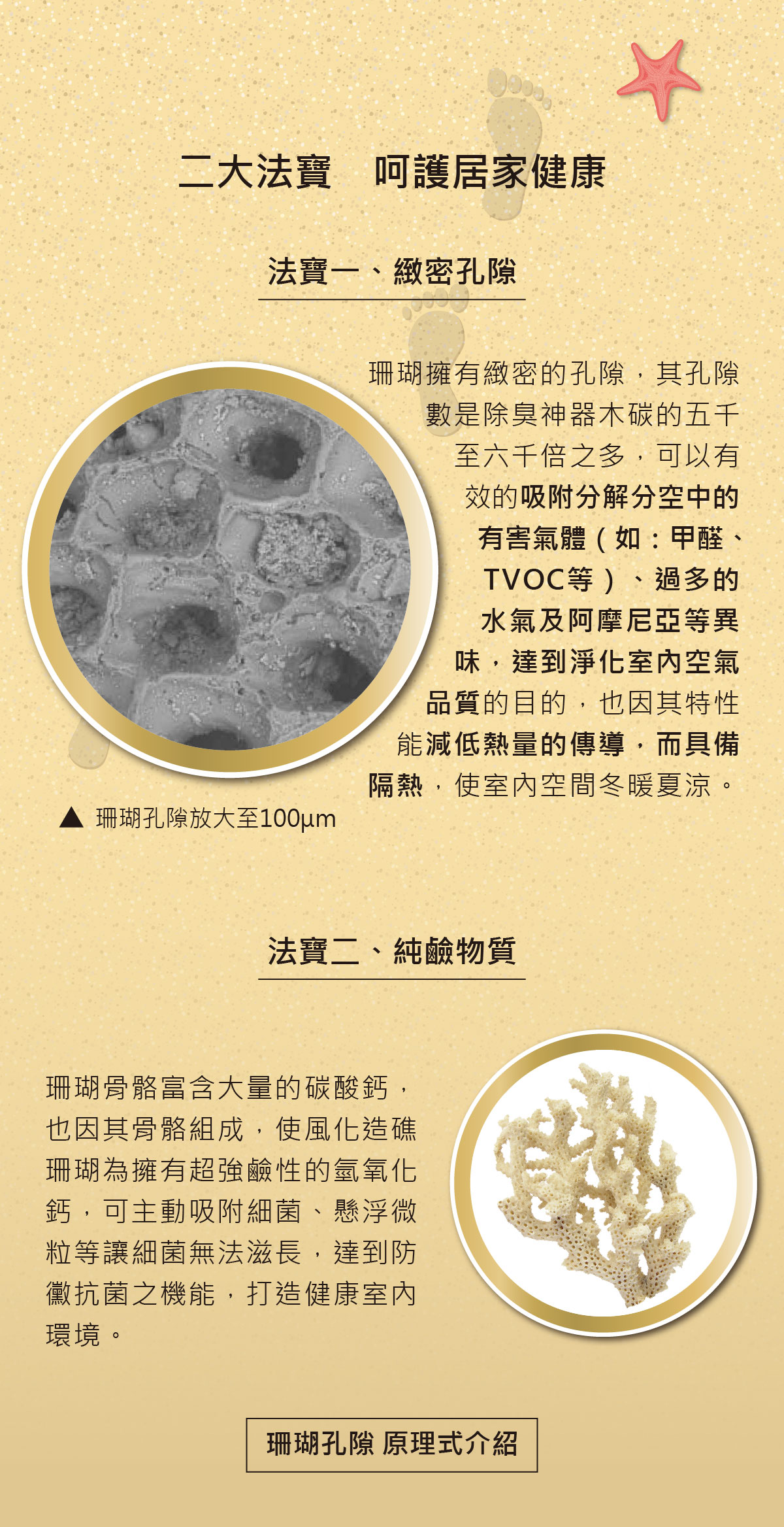 琉海美粉晶珊瑚健康塗料因珊瑚擁有緻密的孔隙可吸附分解分空中的有害氣體